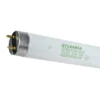 Sylvania Linear Bulb T8 - No Dimmable - Cool White - PK12
