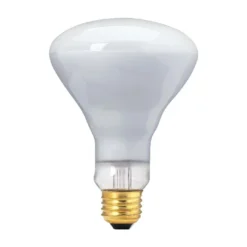 Globe Electric BR30 Incandescent Floodlight Bulb - 65 W - White - 4/Pack