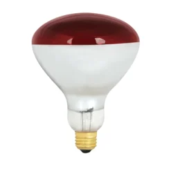 Feit Electric Incandescent Light Bulb - E26 R40 - 250-Watt - Dimmable