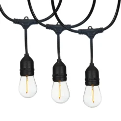 Feit Electric 24-ft 12-Light Plug-In Vintage Bulbs String Lights With Timer Remote Control