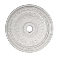 Portfolio White Classic Ceiling Medallion 27-in