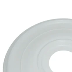 Portfolio White Standard Ceiling Medallion 16-in