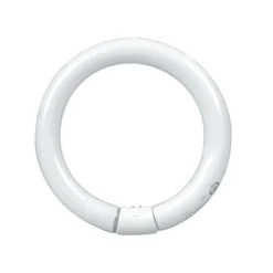 GE Warm White 22W LFL T9 8-in (1-Pack) -Globe Lite Shop 32017274b L