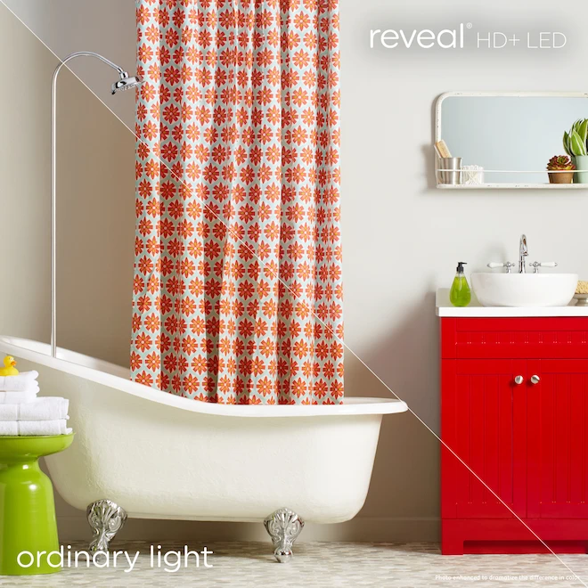 GE Reveal HD+ Colour-Enhancing 60W Replacement LED Clear Ceiling Fan Candelabra Base A15 Light Bulbs (2-Pack) 1 GE Reveal HD+ Colour-Enhancing 60W Replacement LED Clear Ceiling Fan Candelabra Base A15 Light Bulbs (2-Pack)