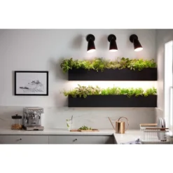 GE Grow Light 32W Balanced Spectrum LED PAR38 Light Bulb (1-Pack) -Globe Lite Shop 32285227c L