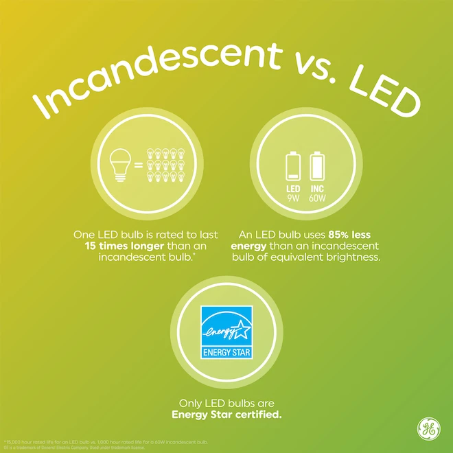 GE Reveal HD+ Colour-Enhancing 45W Incandescent Indoor Floodlight R20 Light Bulb (2-Pack) 3 GE Reveal HD+ Colour-Enhancing 45W Incandescent Indoor Floodlight R20 Light Bulb (2-Pack) - Image 3