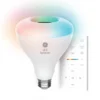 GE LED + 65-Watt EQ LED BR30 Multicolor Flood Light Speaker Bulb + Remote (1-Pack)