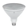 GE Lighting 150W PAR38 Warm White Outdoor LED Bulb
