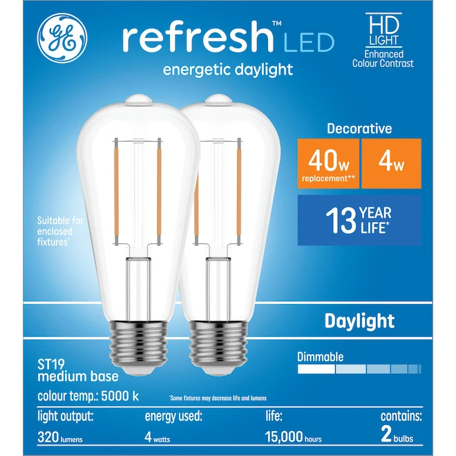 GE Lighting HD Refresh ST19 40W Daylight LED Bulb, 2-Pack 1 GE Lighting HD Refresh ST19 40W Daylight LED Bulb, 2-Pack