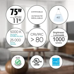 Luminus 75 Watt Equivalent PAR30 Dimmable Flood Bulb 5000K Daylight (6-Pack)