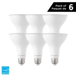 Luminus 75 Watt Equivalent PAR30 Dimmable Flood Bulb 5000K Daylight (6-Pack) -Globe Lite Shop 330951433 MainImage 001 l