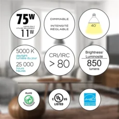 Luminus 75 Watt Equivalent PAR30 Short Neck Flood Dimmable Bulb 5000K Daylight (6-Pack) -Globe Lite Shop 330951443 AlternateImage2 l