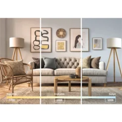 Luminus 75 Watt Equivalent PAR30 Short Neck Flood Dimmable Bulb 5000K Daylight (6-Pack) -Globe Lite Shop 330951443 AlternateImage3 l