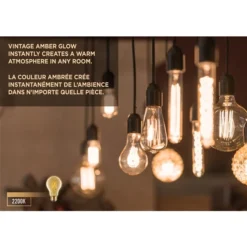 Luminus 40 Watt Equivalent Vintage T10 Dimmable Bulb 2200K Amber (6-Pack) 8 Luminus 40 Watt Equivalent Vintage T10 Dimmable Bulb 2200K Amber (6-Pack) -Globe Lite Shop 330951445 AlternateImage3 l