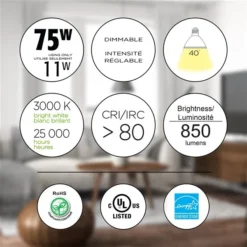 Luminus 75 Watt PAR30 Short Neck Flood Dimmable Bulb 3000K Bright White (6-Pack) -Globe Lite Shop 330951451 AlternateImage2 l