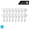 Luminus 65 Watt Equivalent BR30 Dimmable Bulb 5000K Daylight (16-Pack)
