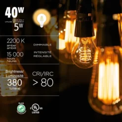 Luminus 40 Watt Equivalent Vintage G40 Dimmable Bulb 2200K Amber (6-Pack) -Globe Lite Shop 330951456 AlternateImage2 l