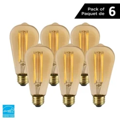 Luminus 60 Watt Equivalent ST19 Dimmable Vintage Filament Bulb 2200K Amber (6-Pack) -Globe Lite Shop 330951458 MainImage 001 l