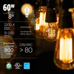 Luminus 60 Watt Equivalent A19 Dimmable Vintage Filament Bulb 2200K Amber (6-Pack) -Globe Lite Shop 330951459 AlternateImage2 l