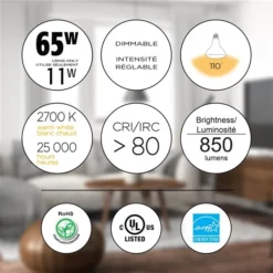 Luminus 65 Watt Equivalent BR30 Dimmable Bulb 2700K Warm White (6-Pack) -Globe Lite Shop 330951477 AlternateImage2 l