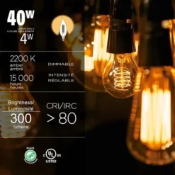 Luminus 40 Watt Vintage B11 E12 Base Dimmable Bulb With Flame Tip 2200K Amber (6-Pack)