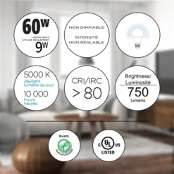 Luminus 60-Watt Equivalent A19 Daylight LED Light Bulbs (24-pack) -Globe Lite Shop 330968594 AlternateImage2 l