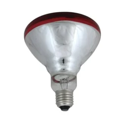 Northlight 100-Watt Indoor/Outdoor BR30 Red Flood Incandescent Light Bulb