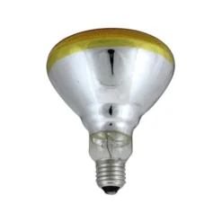 Northlight 100-Watt Indoor/Outdoor BR30 Amber Flood Incandescent Light Bulb