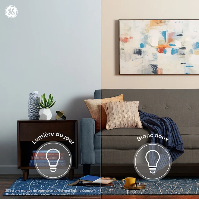 GE Basic Daylight 50 W Replacement LED Floodlight PAR20 Light Bulbs (4-Pack) 1 GE Basic Daylight 50 W Replacement LED Floodlight PAR20 Light Bulbs (4-Pack)