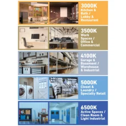 GE Daylight 32 W Replacement LED Direct Wire Type B G13 Base 48-in T8 Light Bulbs