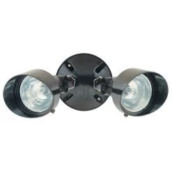 Globe Electric Globe 2-Light Weatherproof Lamp - Halogen - 100 W - Bronze