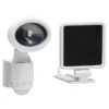 Globe Electric Globe Solar LED Motion Activated Security Light - Single Light - White