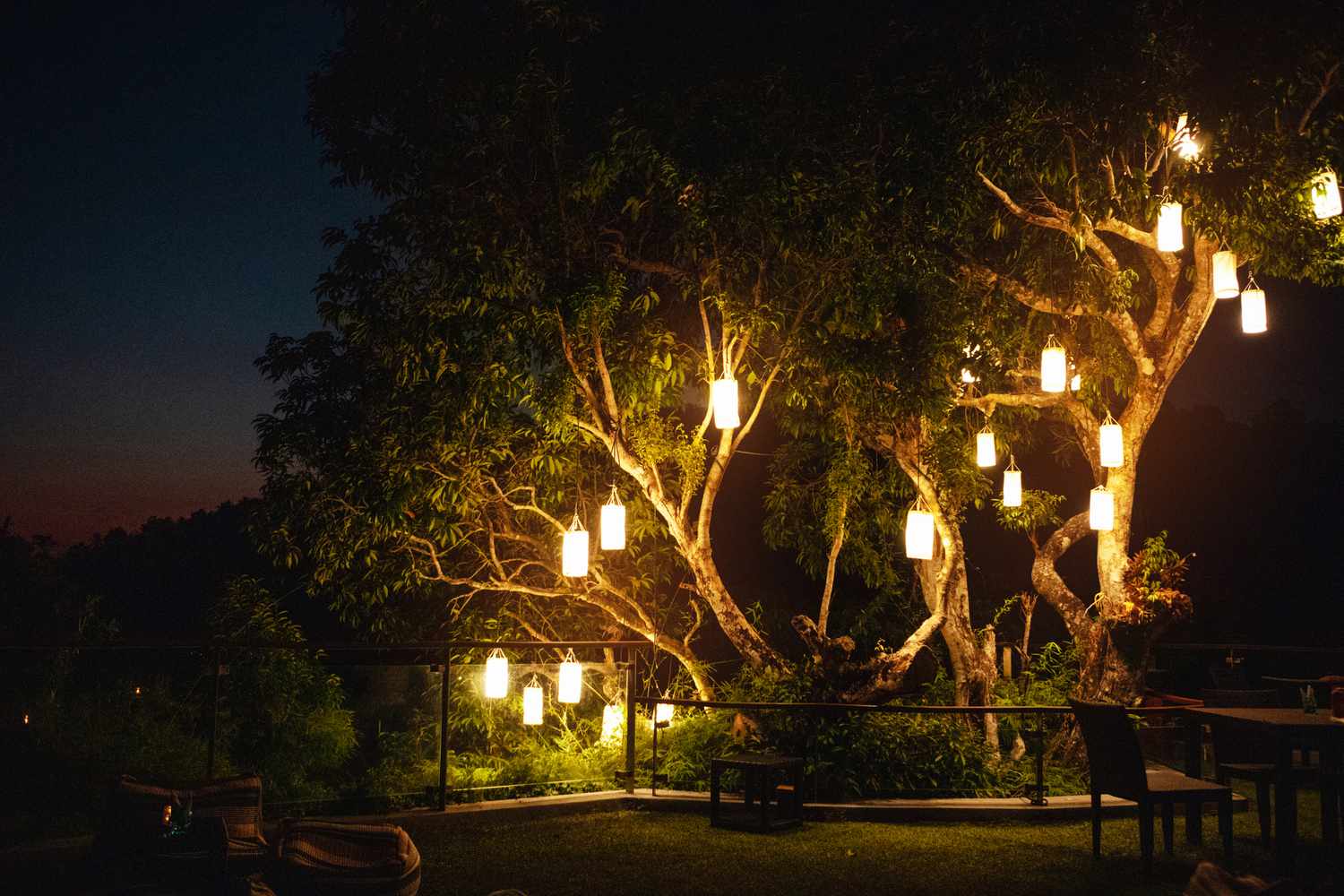 Globe Lite Shop -Globe Lite Shop tree lanterns GettyImages 1455927349 9c3600c67f6d47b1810c798642af792c